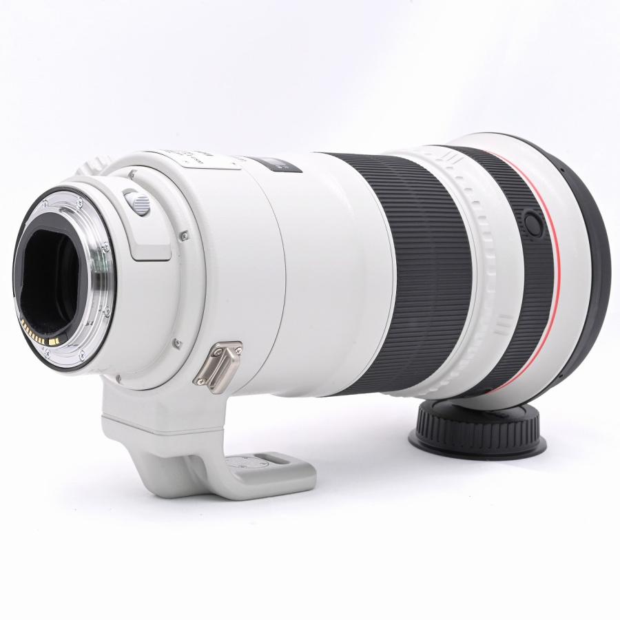 キヤノン Canon EF300mm F2.8L IS II USM |  | 02