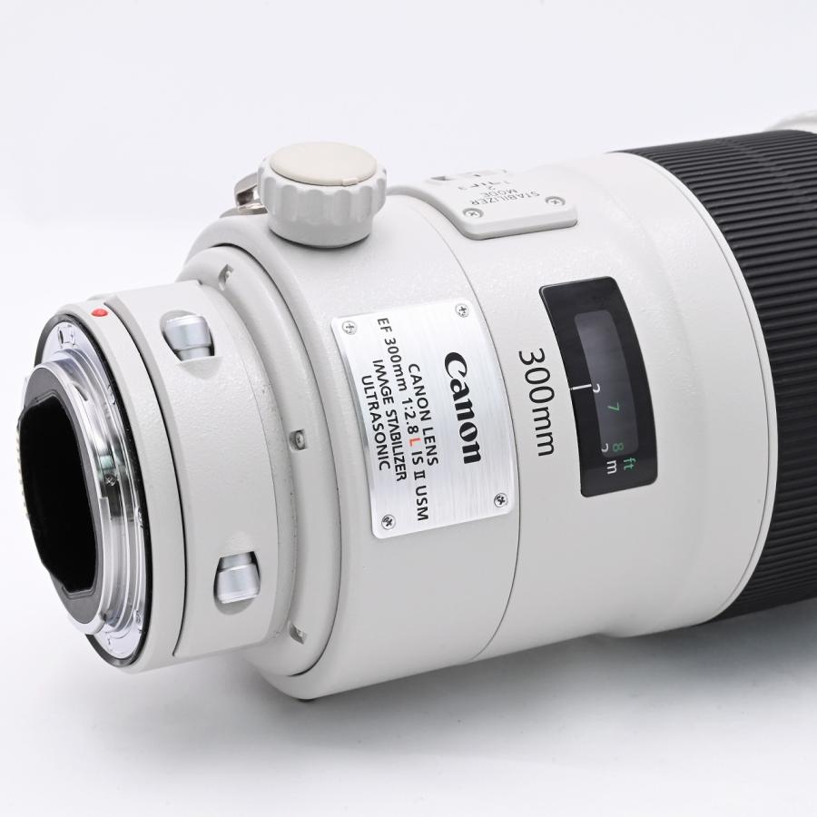 キヤノン Canon EF300mm F2.8L IS II USM |  | 07
