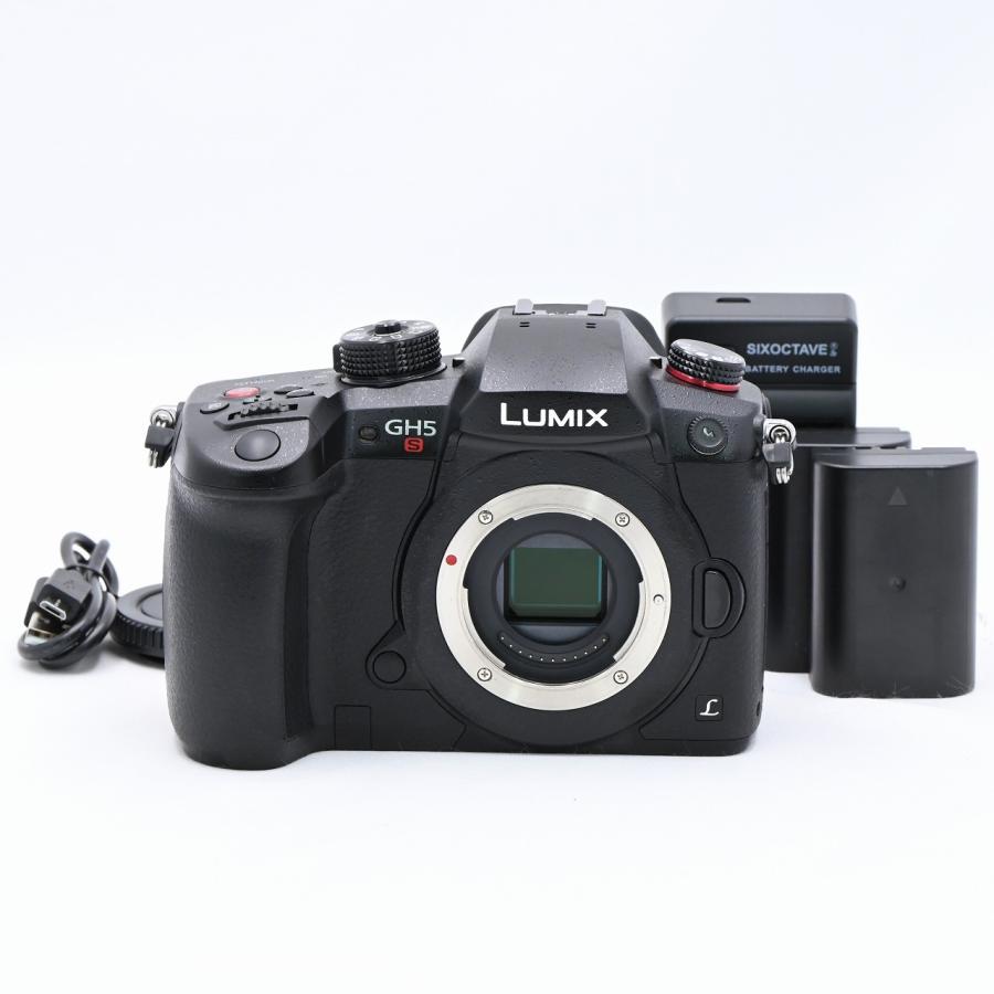 パナソニック Panasonic GH5S DC-GH5S-K ボディ | 