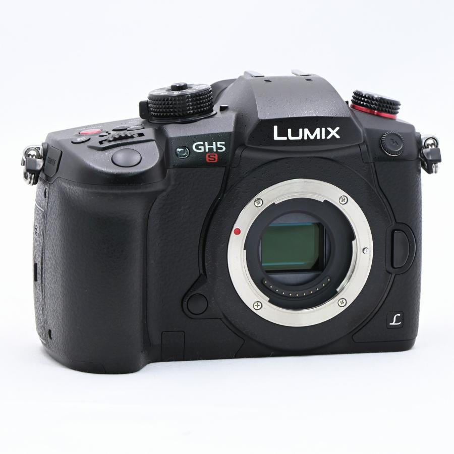 パナソニック Panasonic GH5S DC-GH5S-K ボディ |  | 02