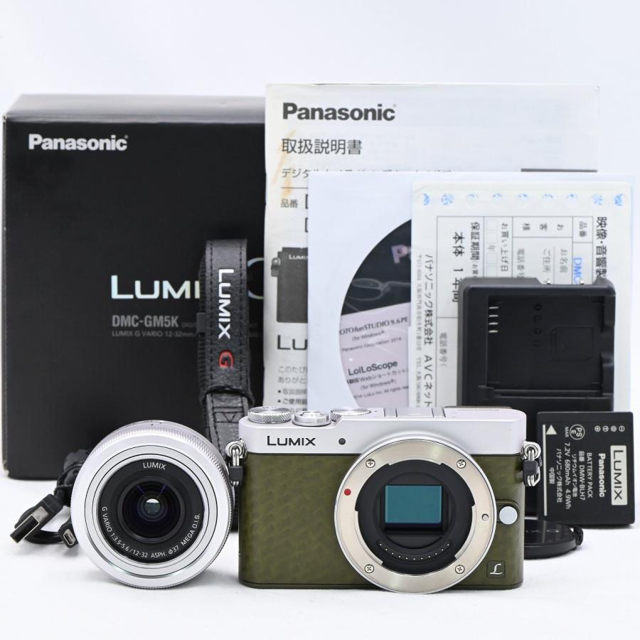 パナソニック Panasonic LUMIX DMC-GM5 グリーン レンズキット | 