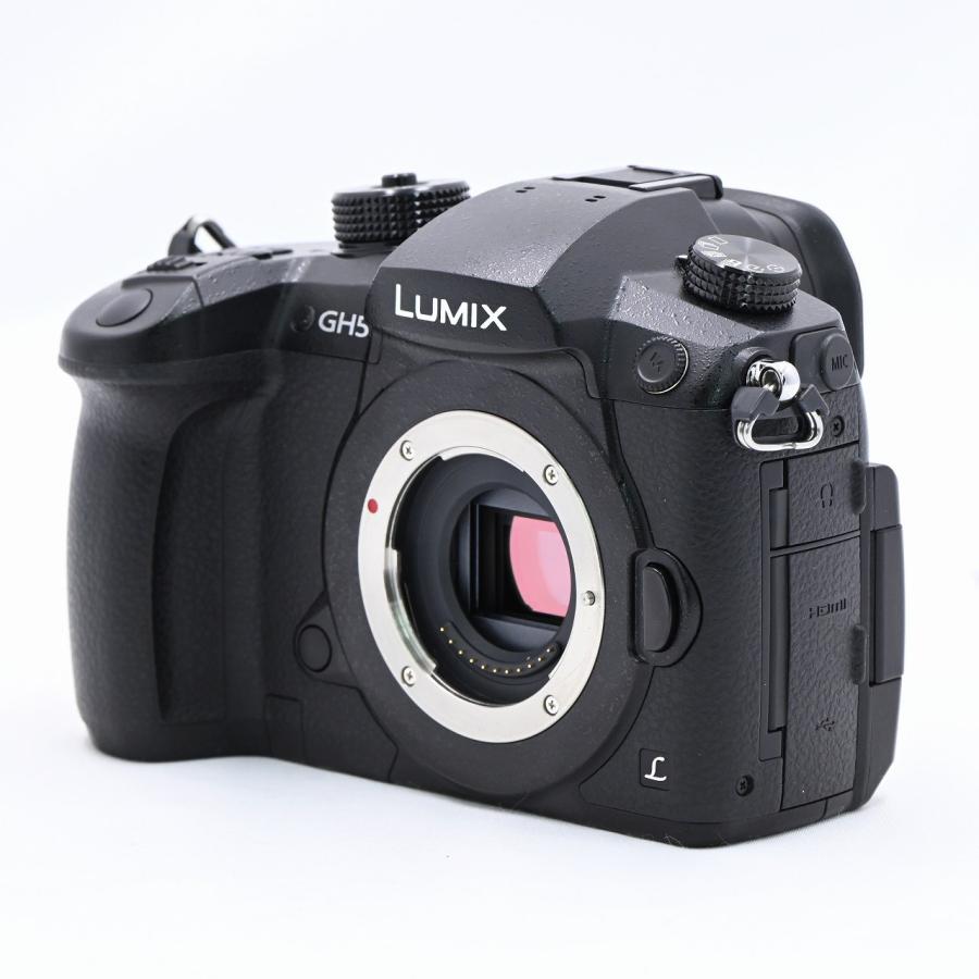 パナソニック Panasonic LUMIX DC-GH5-K ボディ ブラック |  | 01