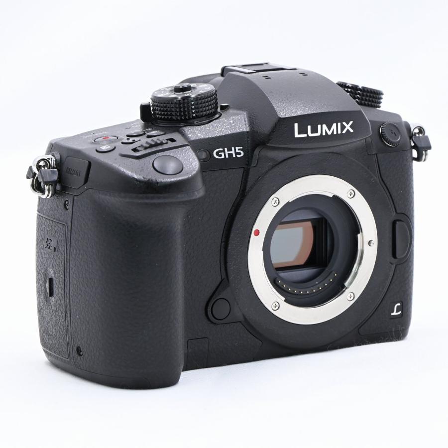 パナソニック Panasonic LUMIX DC-GH5-K ボディ ブラック |  | 02