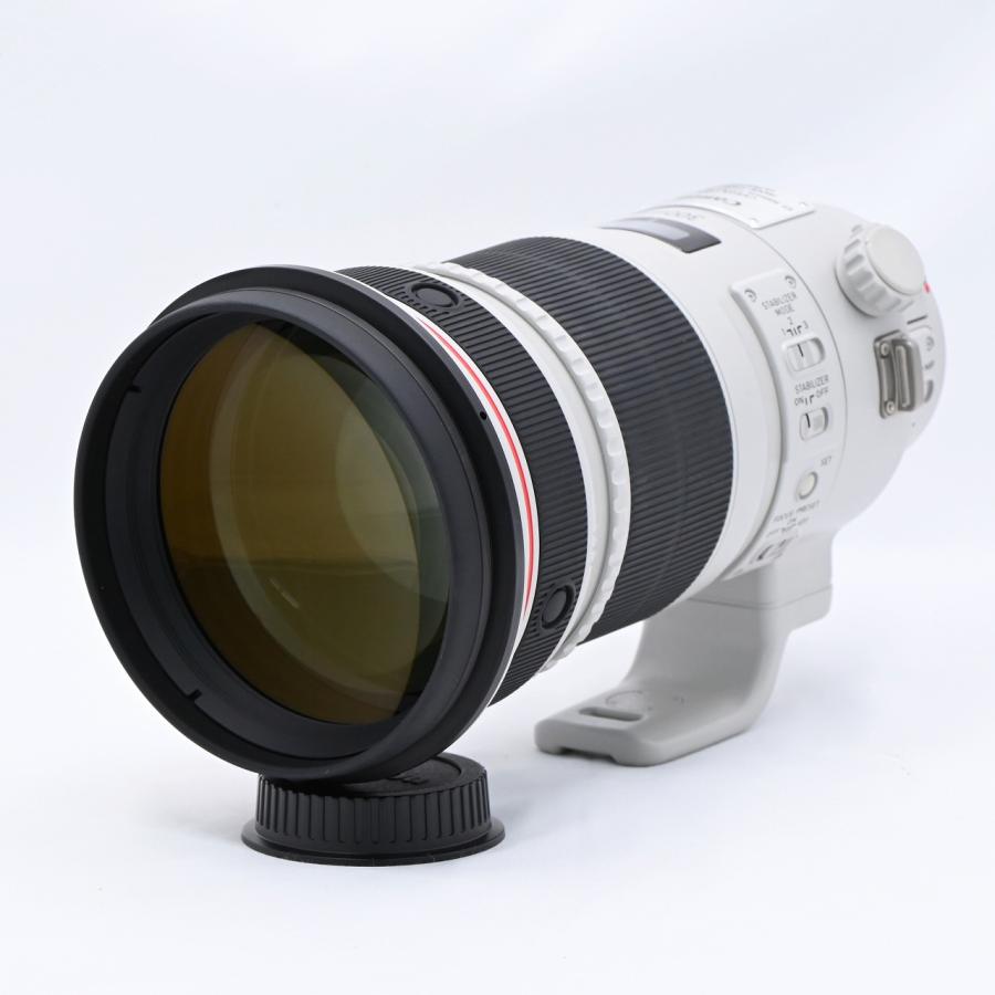 キヤノン Canon EF300mm F2.8L IS II USM |  | 01