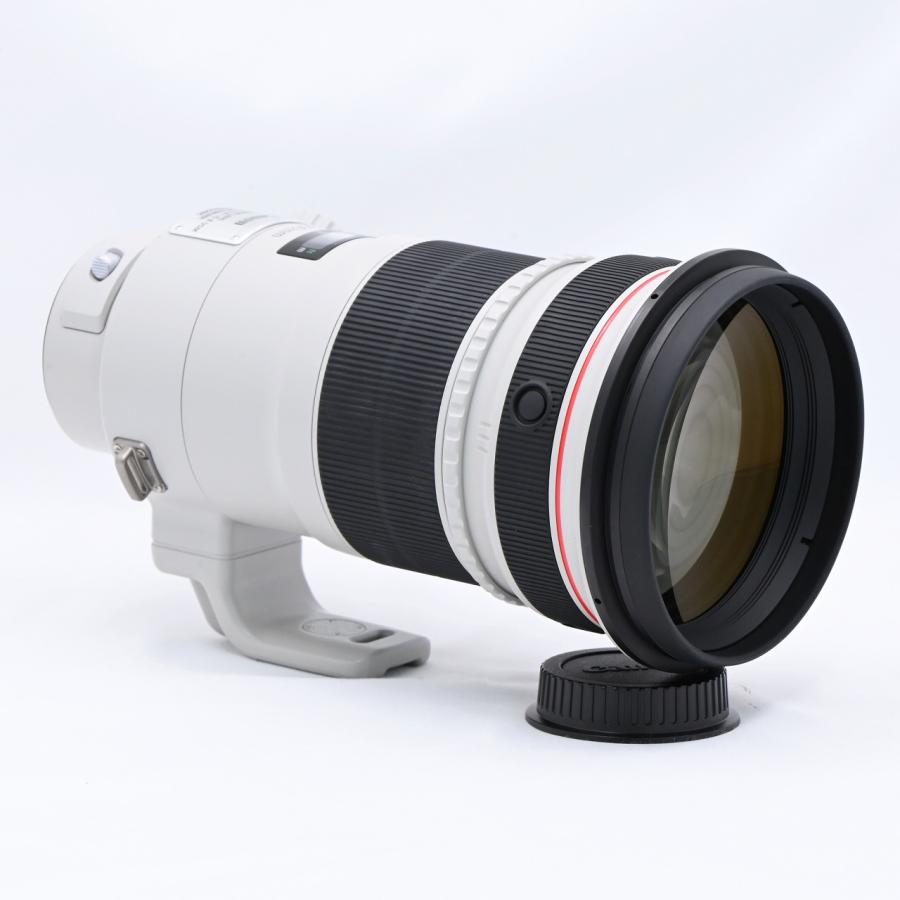 キヤノン Canon EF300mm F2.8L IS II USM |  | 02