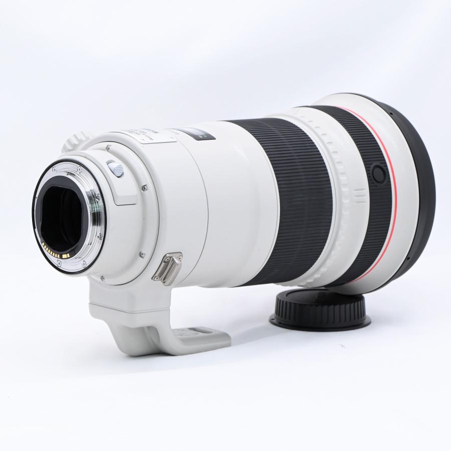 キヤノン Canon EF300mm F2.8L IS II USM |  | 03