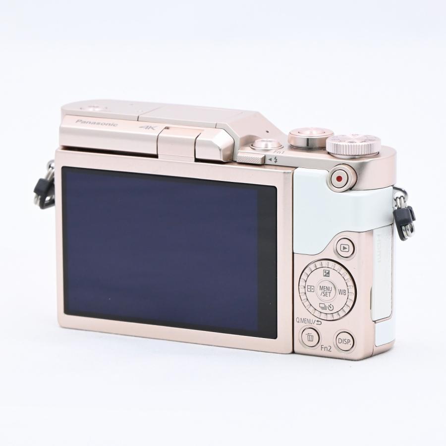 パナソニック Panasonic GF90 ダブルレンズキット ホワイト DC-GF90W-W |  | 06