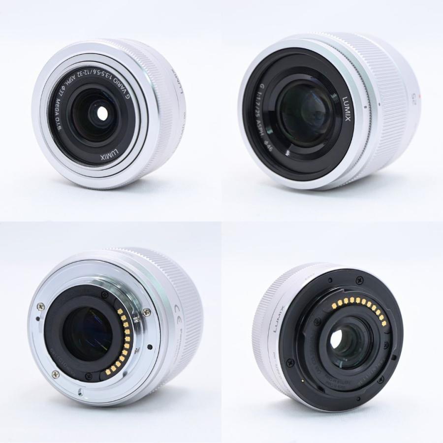 パナソニック Panasonic GF90 ダブルレンズキット ホワイト DC-GF90W-W |  | 08