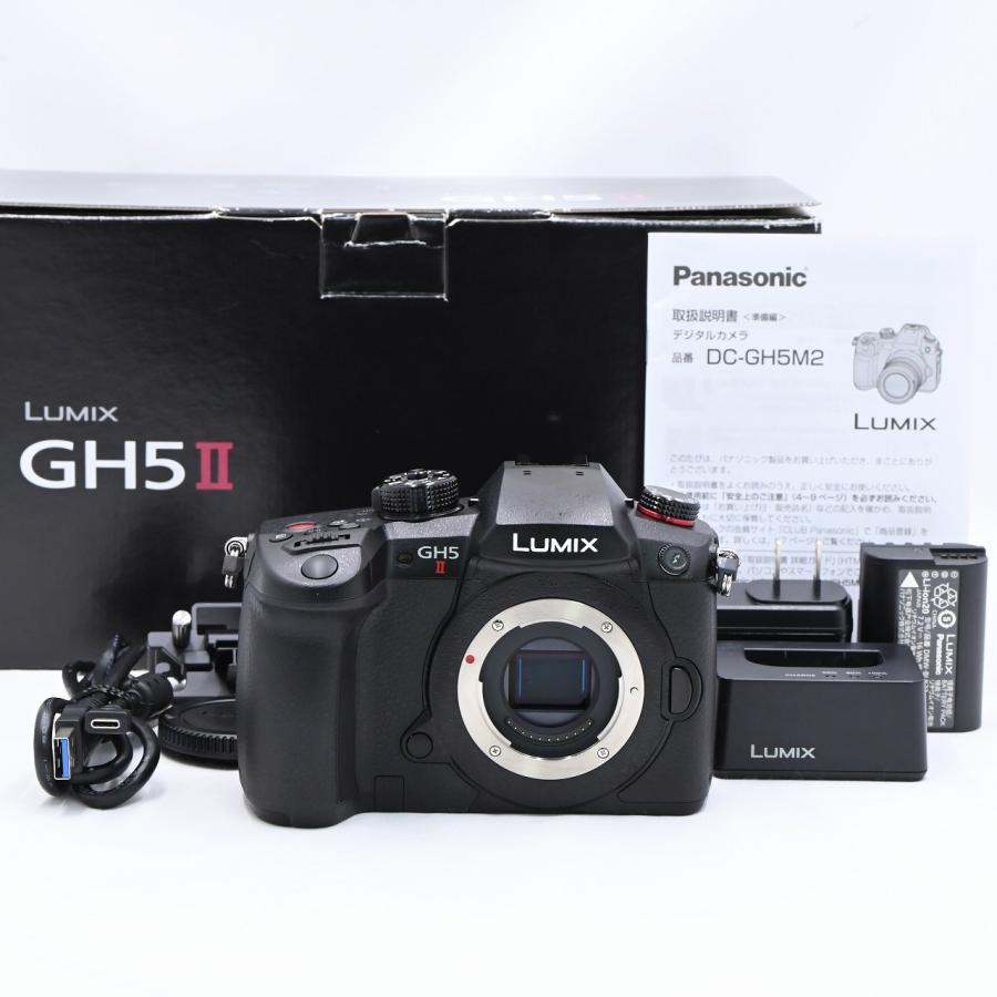 LUMIX GH5 II ミラーレス一眼カメラ 標準ズームレンズキット DC-GH5M2M 
