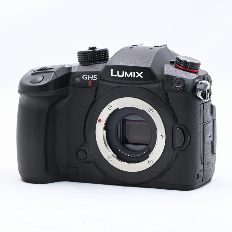 パナソニック Panasonic GH5 II GH5M2 ボディ ブラック DC-GH5M2
