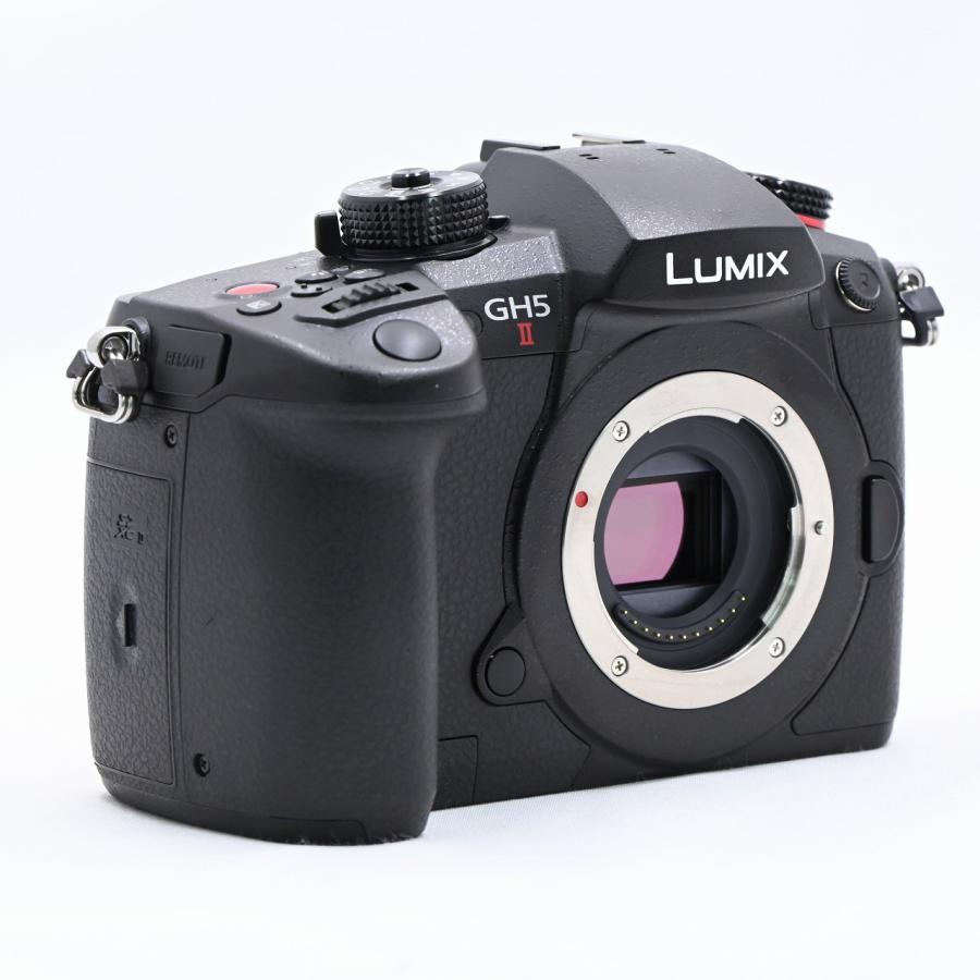 パナソニック Panasonic GH5 II GH5M2 ボディ ブラック DC-GH5M2 |  | 02
