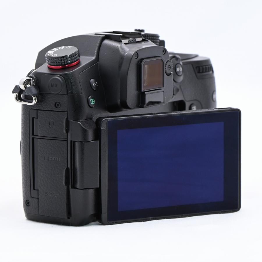 パナソニック Panasonic GH5 II GH5M2 ボディ ブラック DC-GH5M2