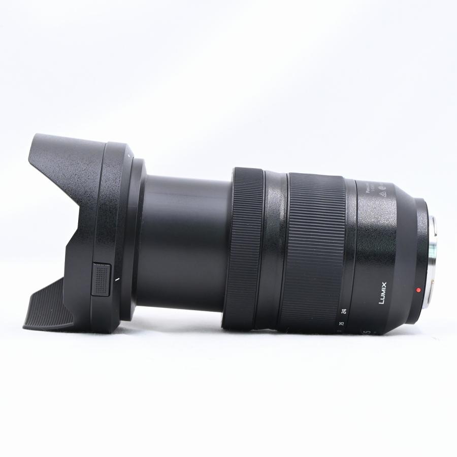 パナソニック Panasonic LUMIX S 24-105mm F4 MACRO O.I.S. ブラック S-R24105 |  | 05