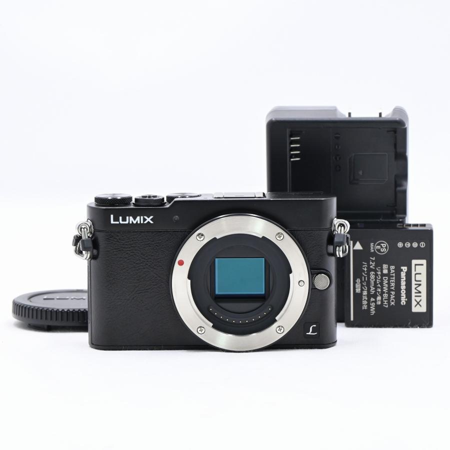 パナソニック Panasonic LUMIX DMC-GM5 ボディ ブラック | 