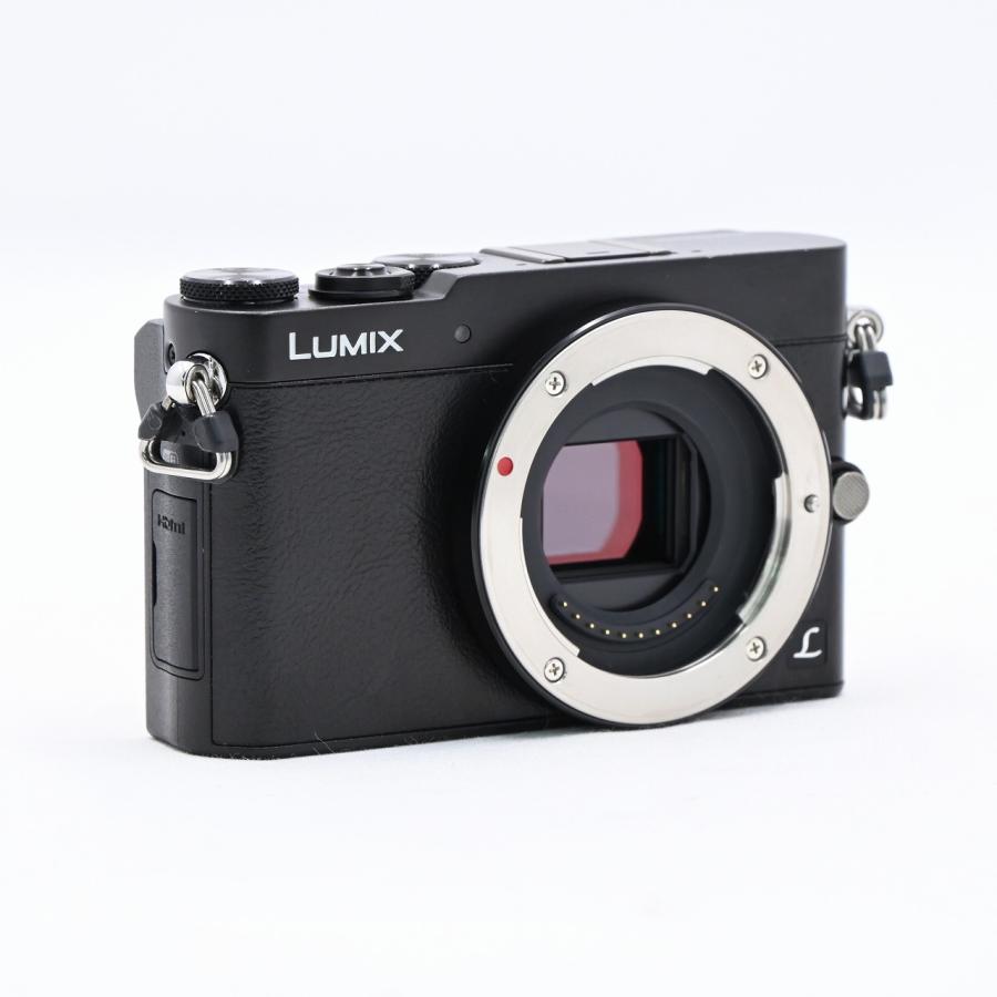 パナソニック Panasonic LUMIX DMC-GM5 ボディ ブラック |  | 02