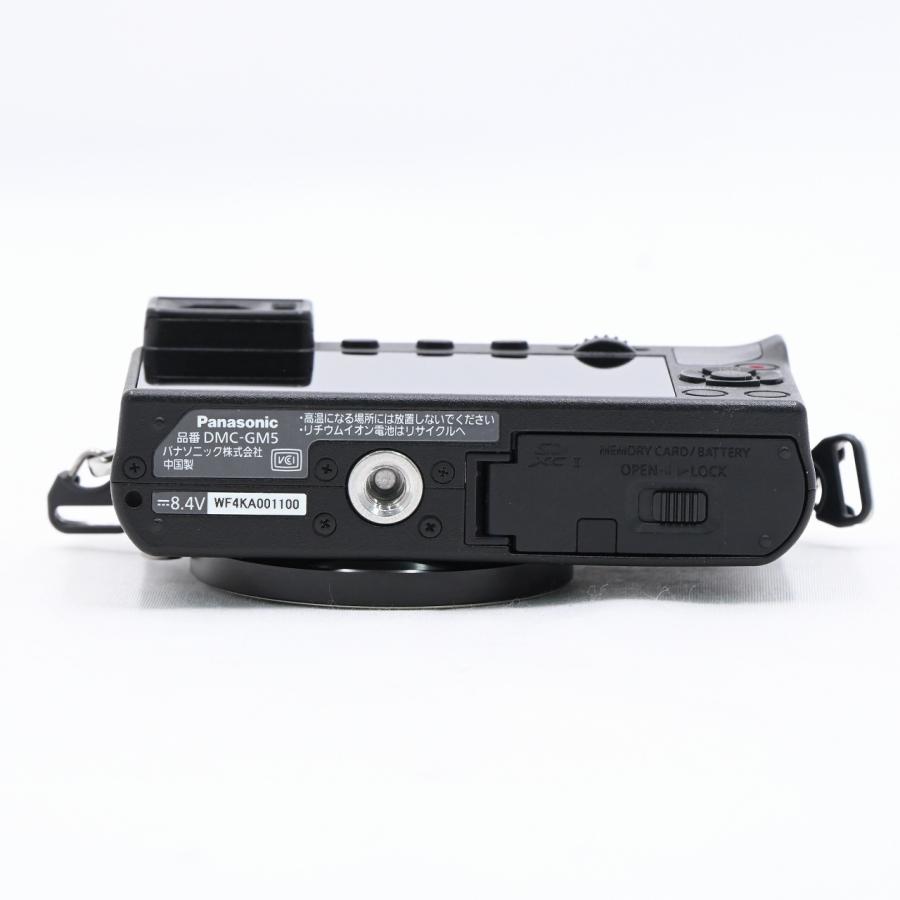 パナソニック Panasonic LUMIX DMC-GM5 ボディ ブラック |  | 04