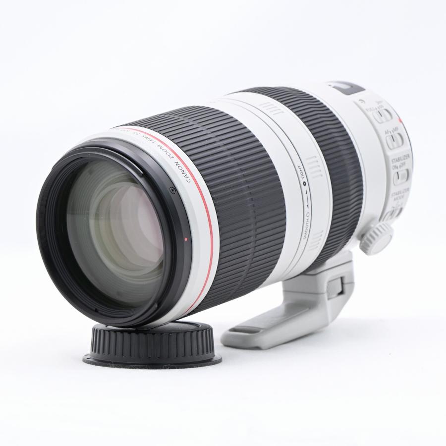 キヤノン Canon EF100-400mm F4.5-5.6L IS II USM |  | 01