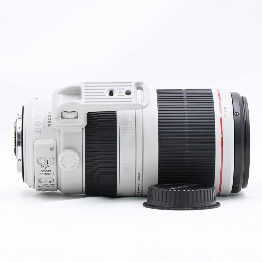 キヤノン Canon EF100-400mm F4.5-5.6L IS II USM |  | 06