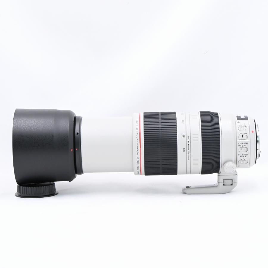 キヤノン Canon EF100-400mm F4.5-5.6L IS II USM |  | 07