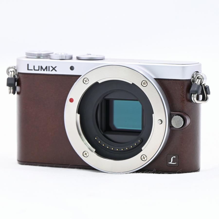 パナソニック Panasonic DMC-GM1S レンズキット ブラウン |  | 01
