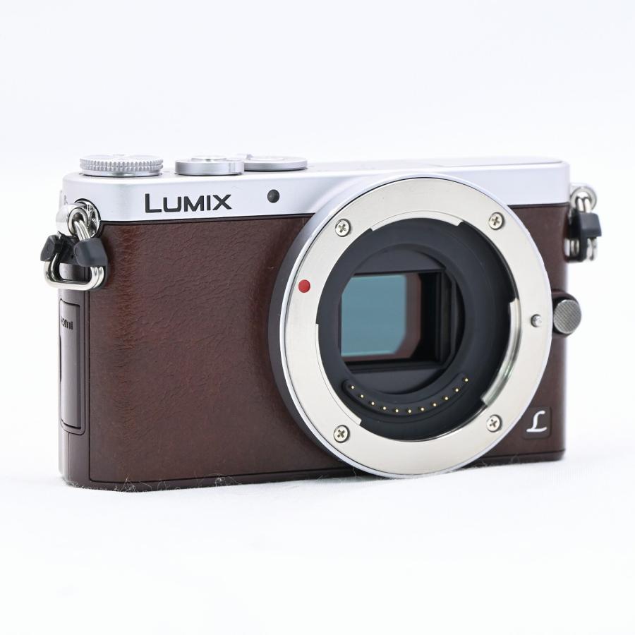 パナソニック Panasonic DMC-GM1S レンズキット ブラウン |  | 02