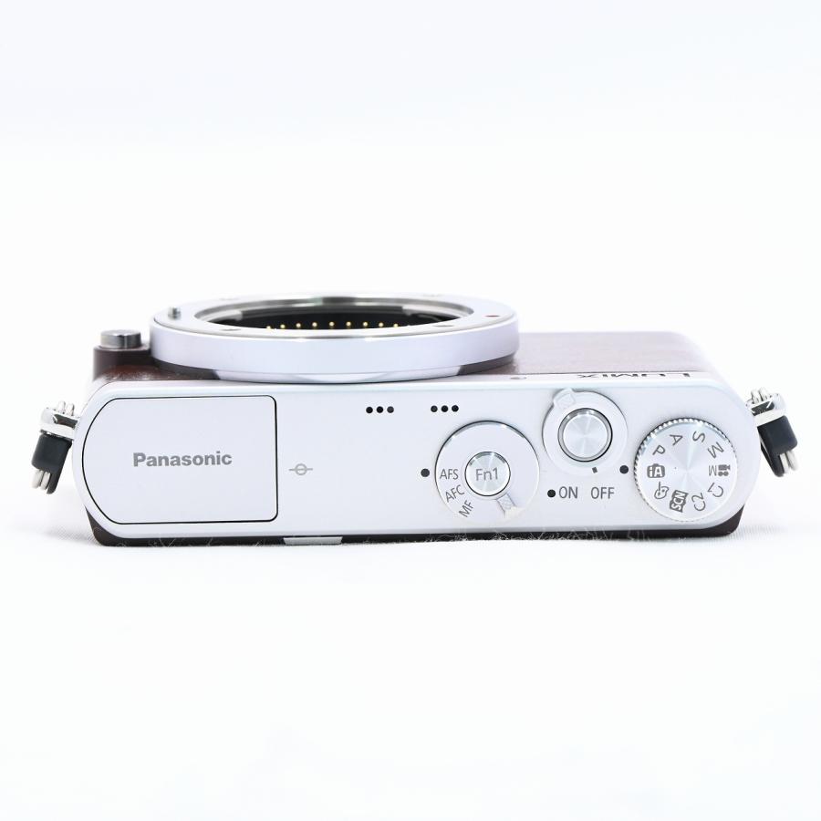 パナソニック Panasonic DMC-GM1S レンズキット ブラウン |  | 03