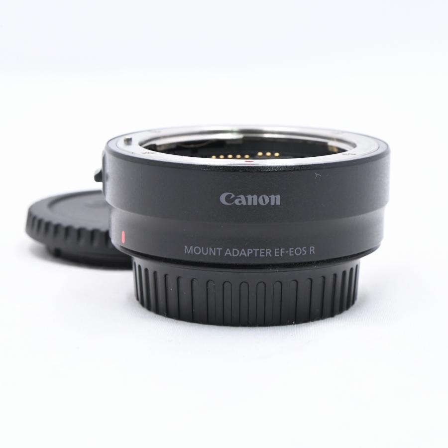 キヤノン Canon マウントアダプター EF-EOS R : フラッグシップ
