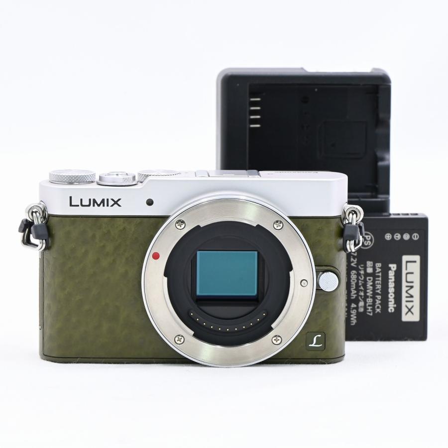 パナソニック Panasonic LUMIX DMC-GM5 グリーン | 