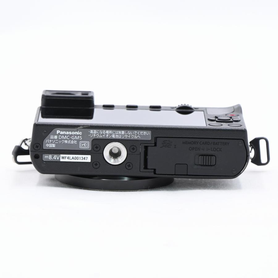 パナソニック Panasonic LUMIX DMC-GM5ボディ ブラック |  | 04
