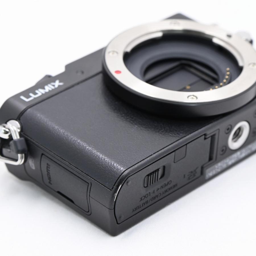 パナソニック Panasonic LUMIX DMC-GM5ボディ ブラック |  | 09