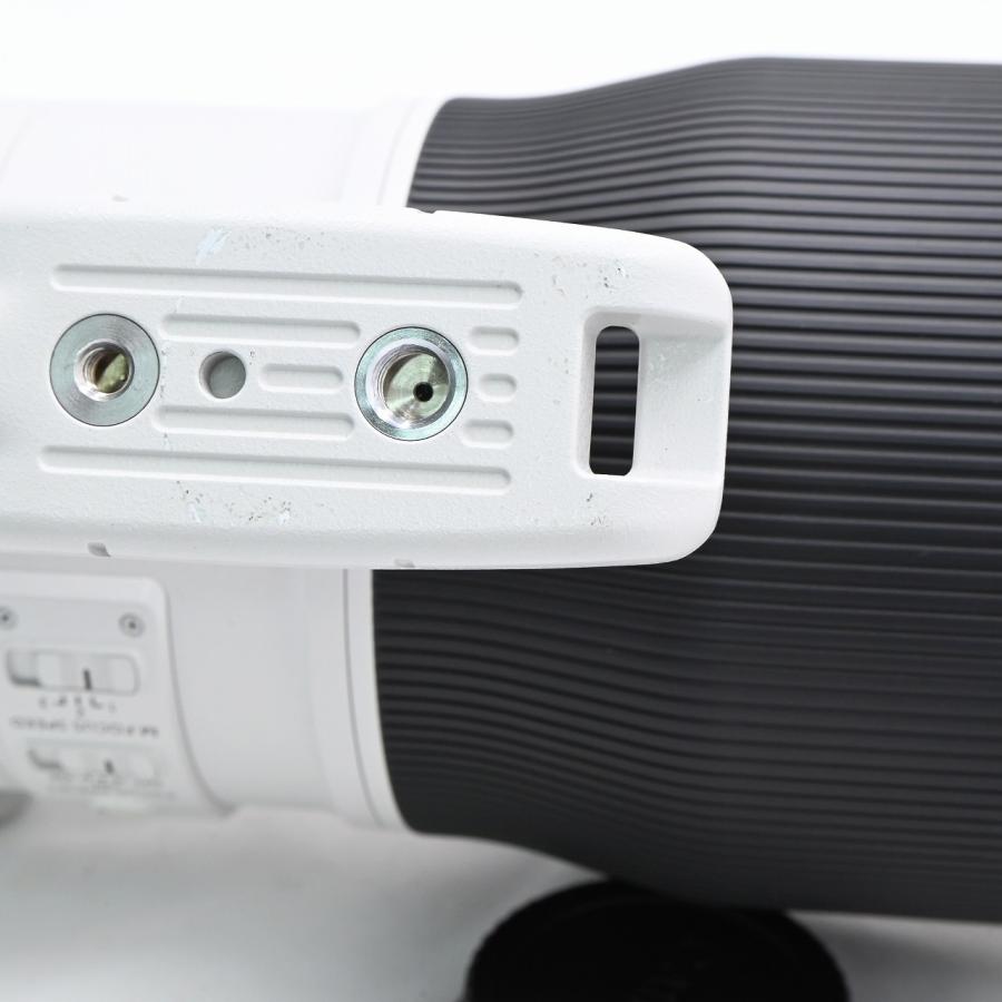 キヤノン Canon EF600mm F4L IS III USM |  | 09