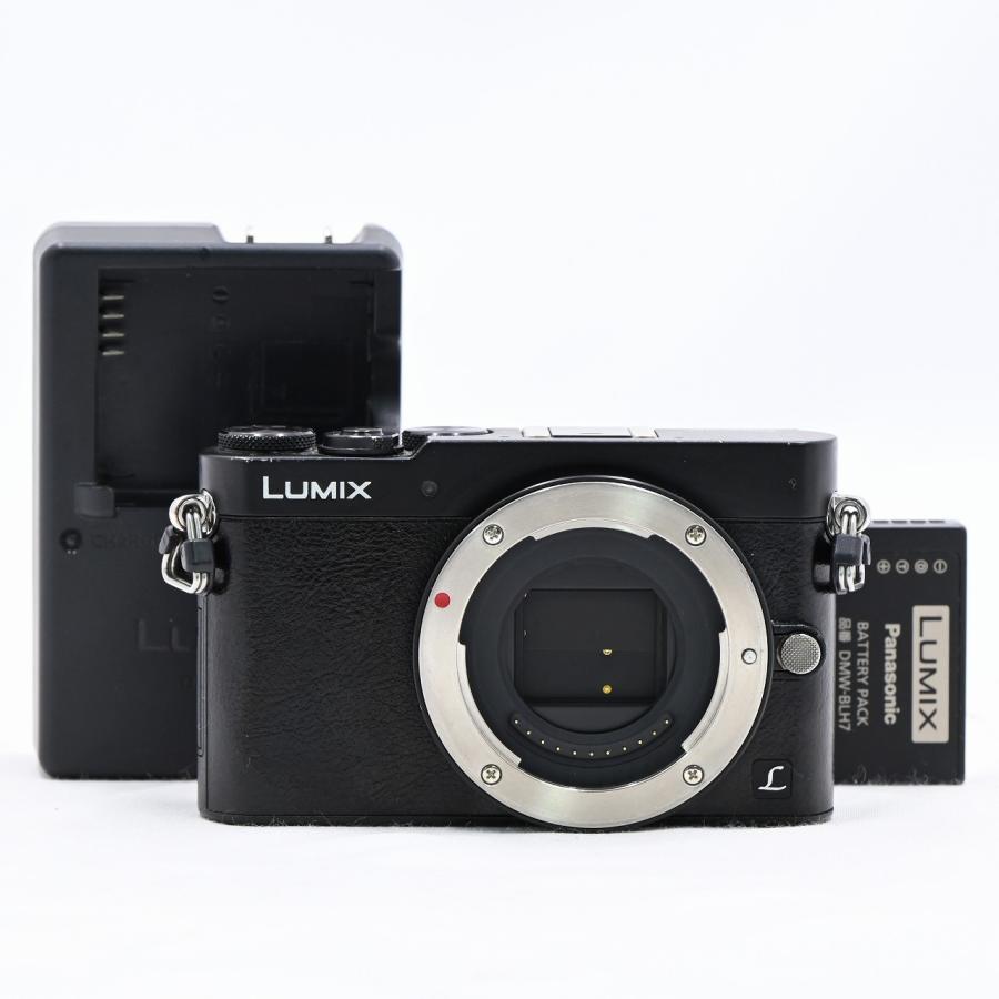 パナソニック Panasonic LUMIX DMC-GM5-K ボディ ブラック | 