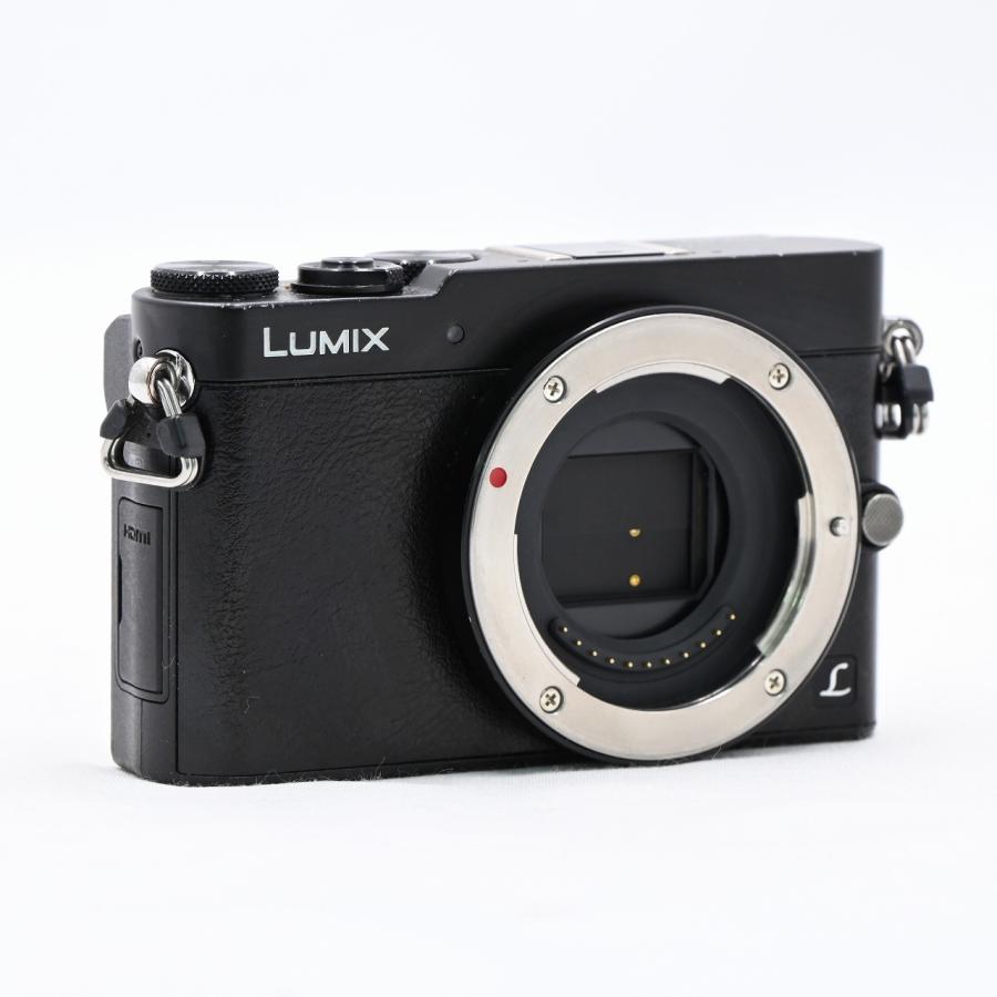 パナソニック Panasonic LUMIX DMC-GM5-K ボディ ブラック |  | 02