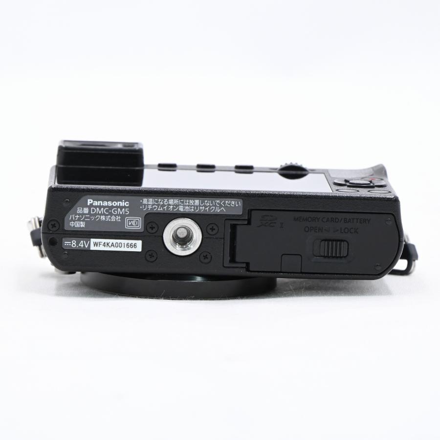 パナソニック Panasonic LUMIX DMC-GM5-K ボディ ブラック |  | 04