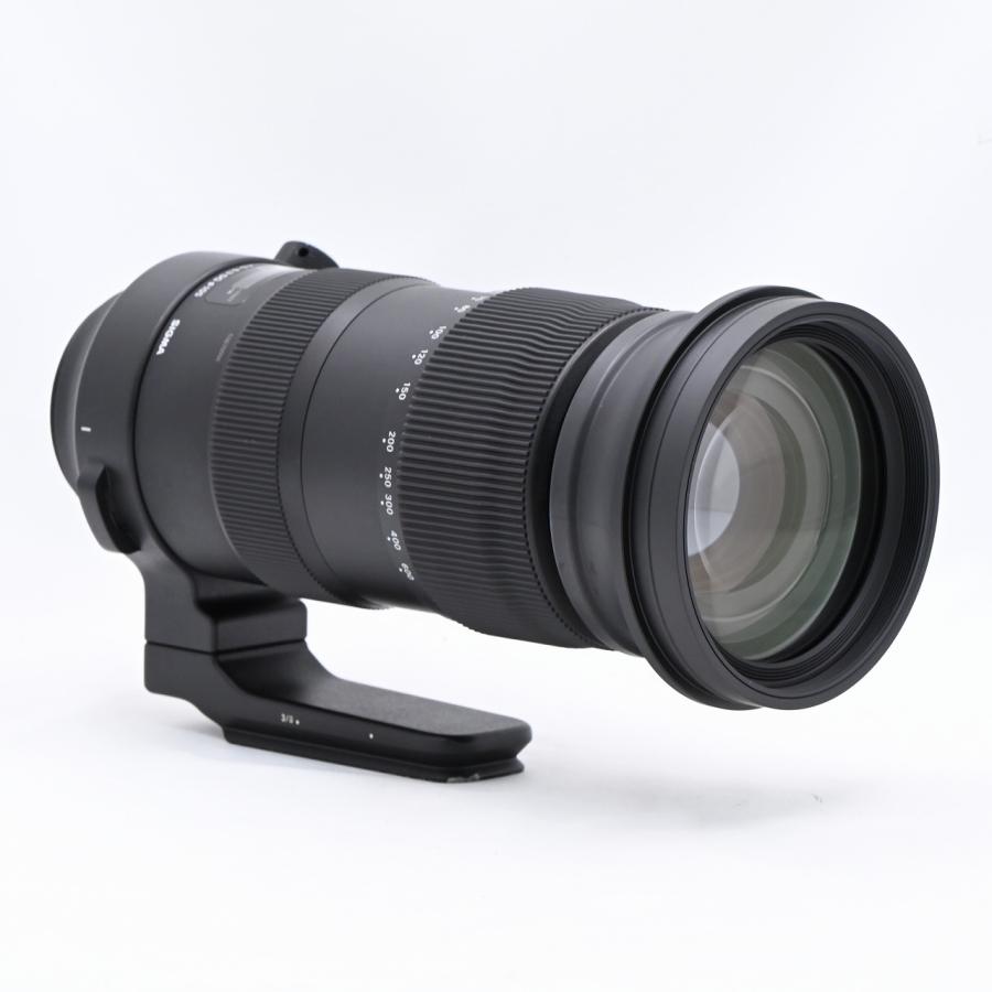 シグマ SIGMA 60-600mm F4.5-6.3 DG OS HSM Sports キヤノン用