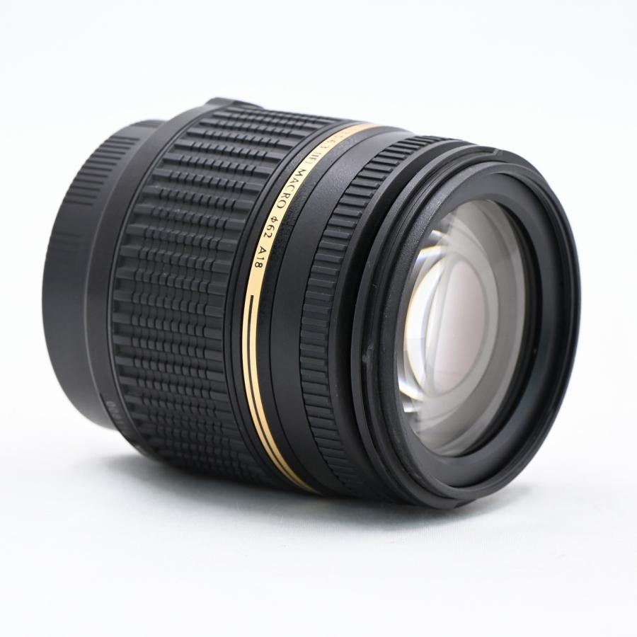 タムロン TAMRON AF18-250mm F/3.5-6.3 Di II LD Aspherical [IF
