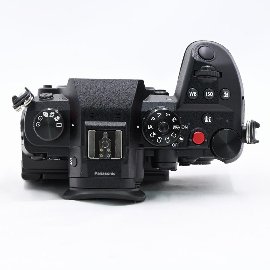 パナソニック Panasonic LUMIX DC-GH6 ボディ ブラック : フラッグ