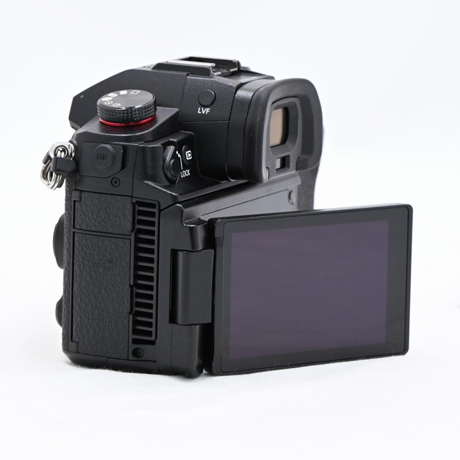 パナソニック Panasonic LUMIX DC-GH6 ボディ ブラック : フラッグ