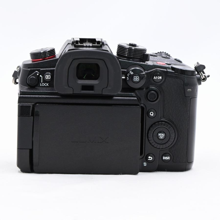 パナソニック Panasonic LUMIX DC-GH6 ボディ ブラック : フラッグ