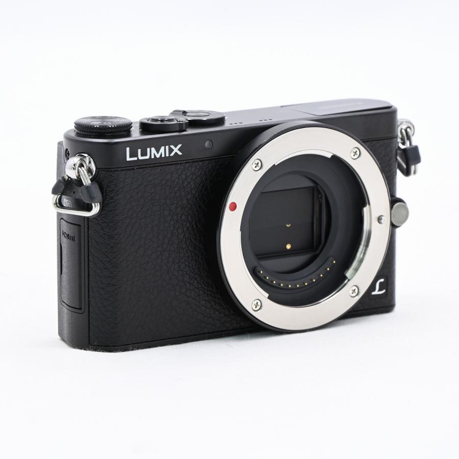 パナソニック Panasonic LUMIX GM1 ブラック DMC-GM1 ボディ