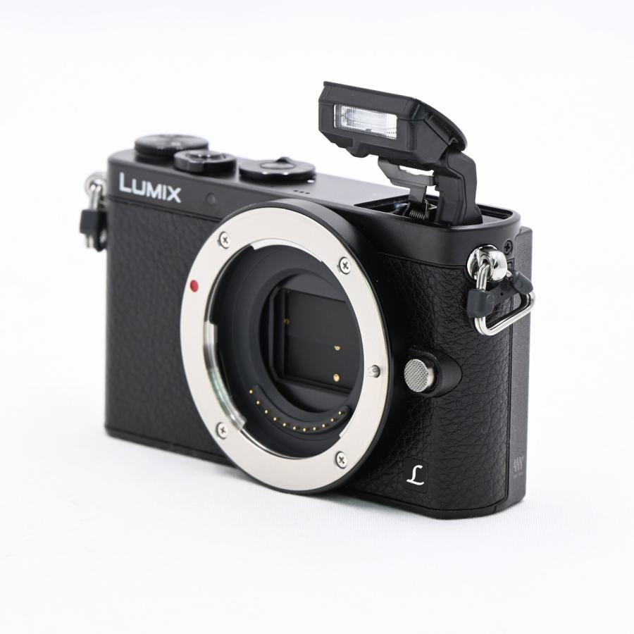 パナソニック Panasonic LUMIX GM1 ブラック DMC-GM1 ボディ
