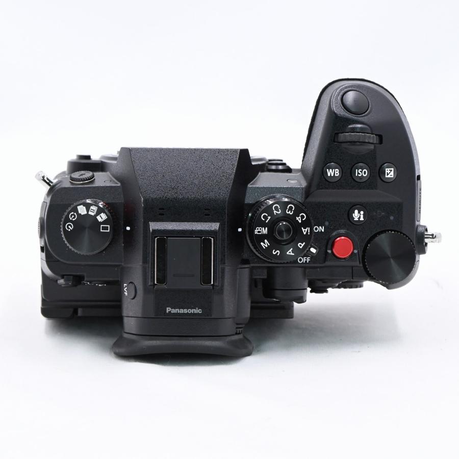 パナソニック Panasonic LUMIX DC-GH6 ボディ ブラック : フラッグ