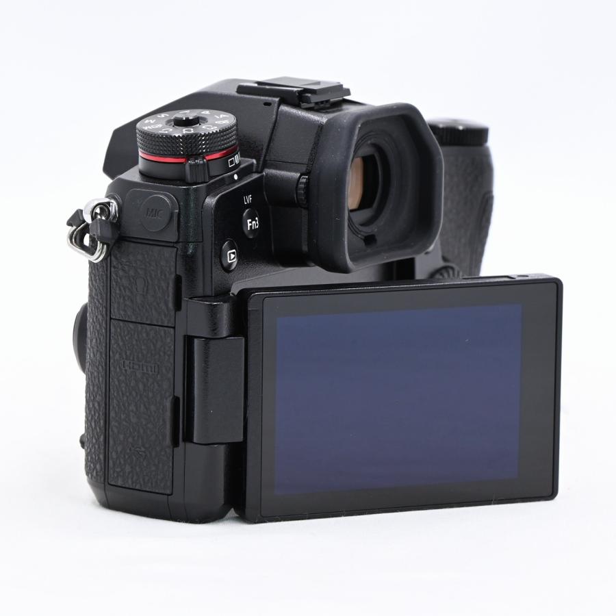 パナソニック Panasonic LUMIX DC-G9-K ボディ ブラック |  | 06