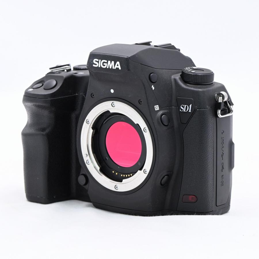 シグマ SIGMA SD1 Merrill ボディ |  | 01