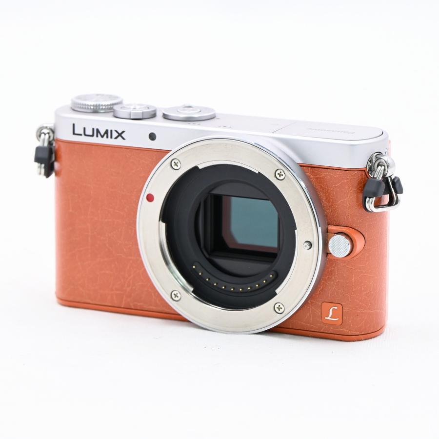 Panasonic パナソニック LUMIX GM1 オレンジ DMC-GM1 ボディ
