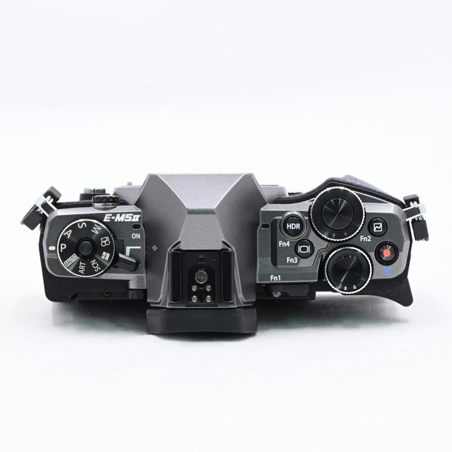 オリンパス OLYMPUS OM-D E-M5 MarkII Limited Edition チタニウム