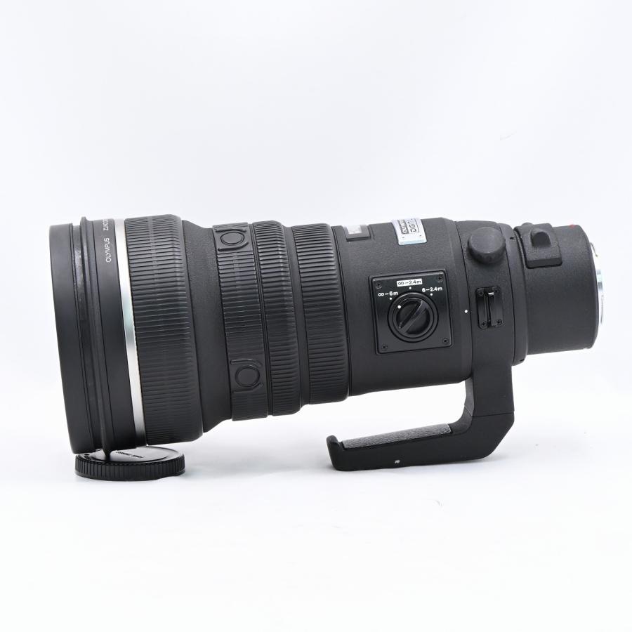 OLYMPUS オリンパス ZUIKO DIGITAL ED 300mm F2.8 : フラッグシップ