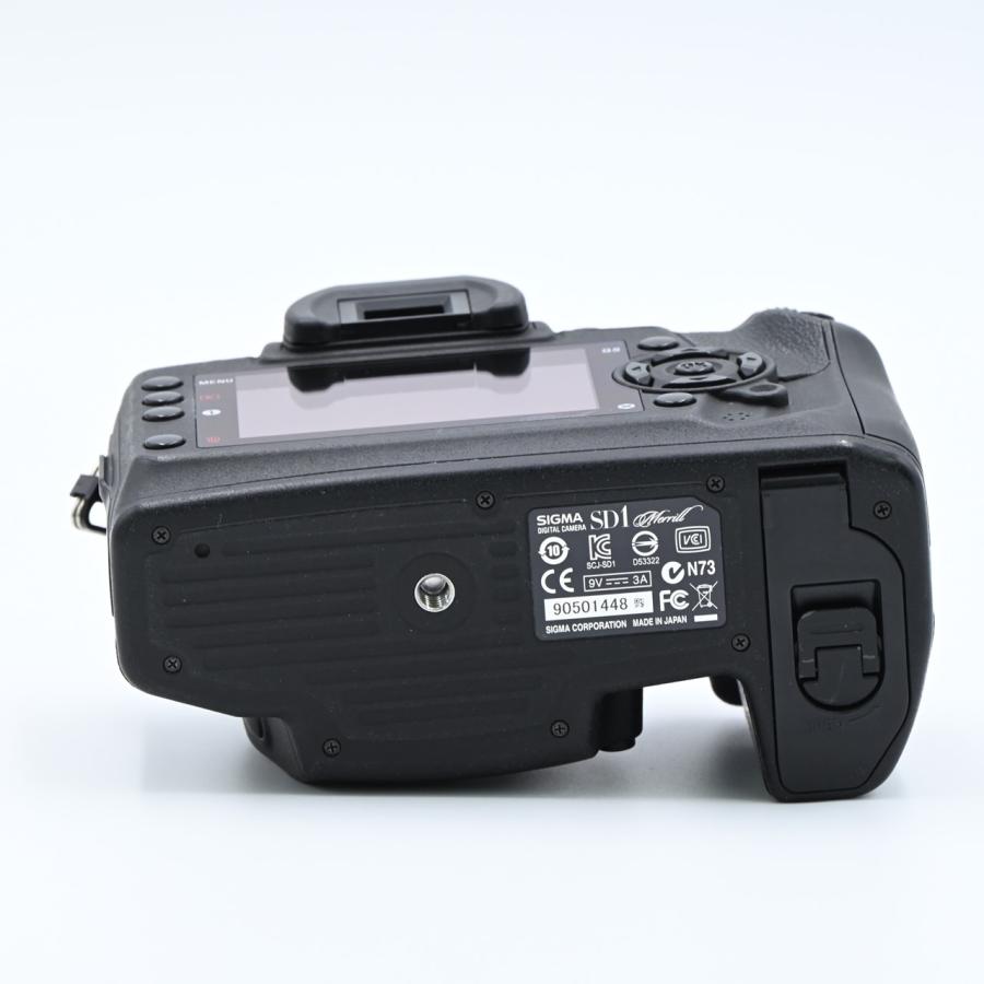 SIGMA シグマ SD1 Merrill ボディ |  | 04