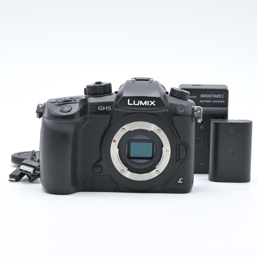 Panasonic パナソニック LUMIX DC-GH5-K ボディ ブラック : フラッグ