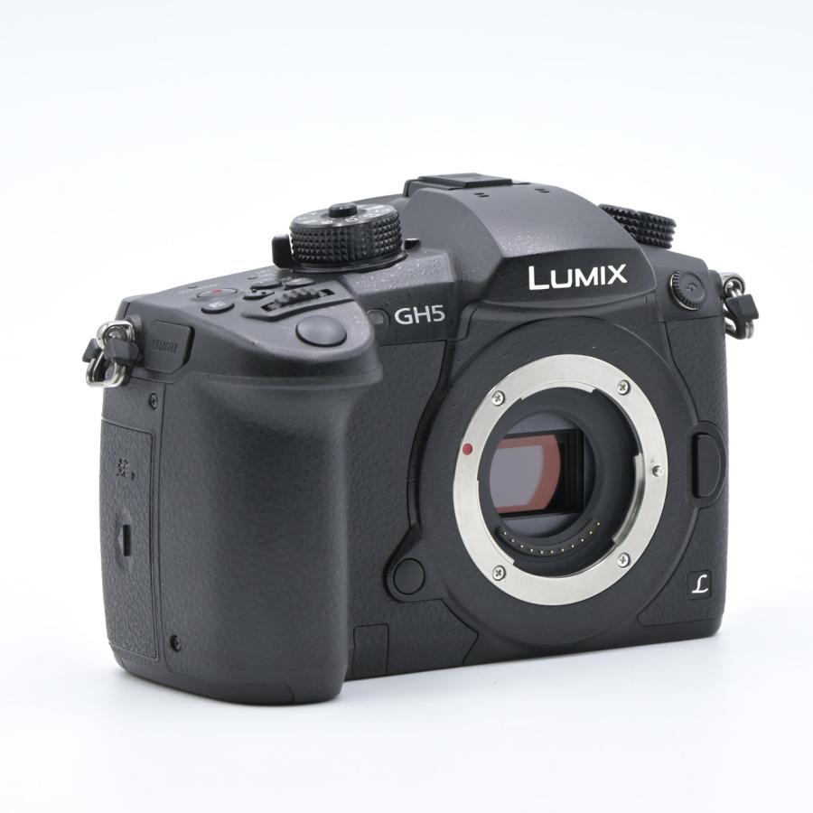 Panasonic パナソニック LUMIX DC-GH5-K ボディ ブラックの画像